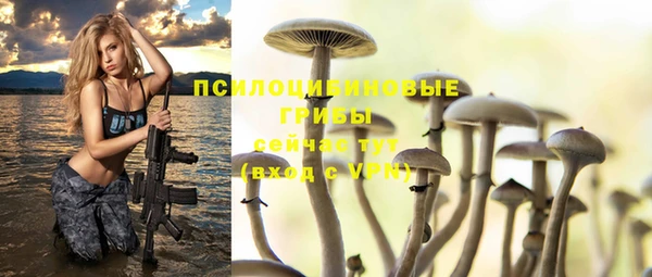 PSILOCYBIN Нягань