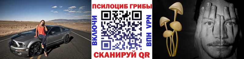 наркота  Шали  Псилоцибиновые грибы мицелий 