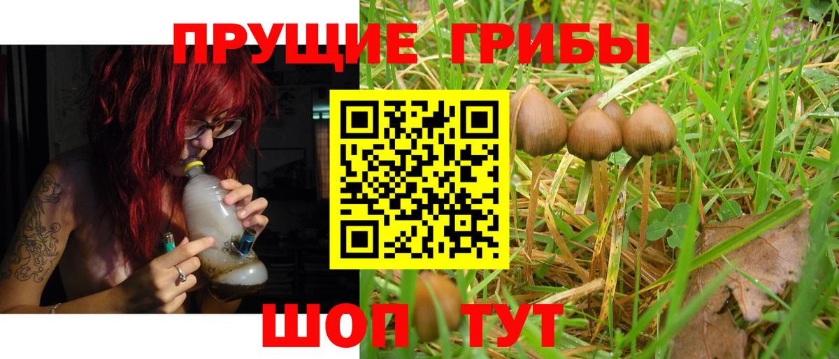 Шали  где найти наркотики  Галлюциногенные грибы мицелий  Вход с VPN  Галлюциногенные грибы MAGIC MUSHROOMS 